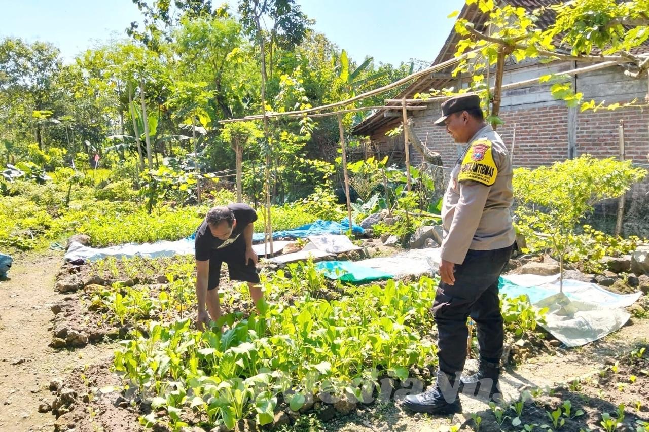 Polsek Se-Ngawi Serentak Galakkan Program Pekarangan Pangan Bergizi