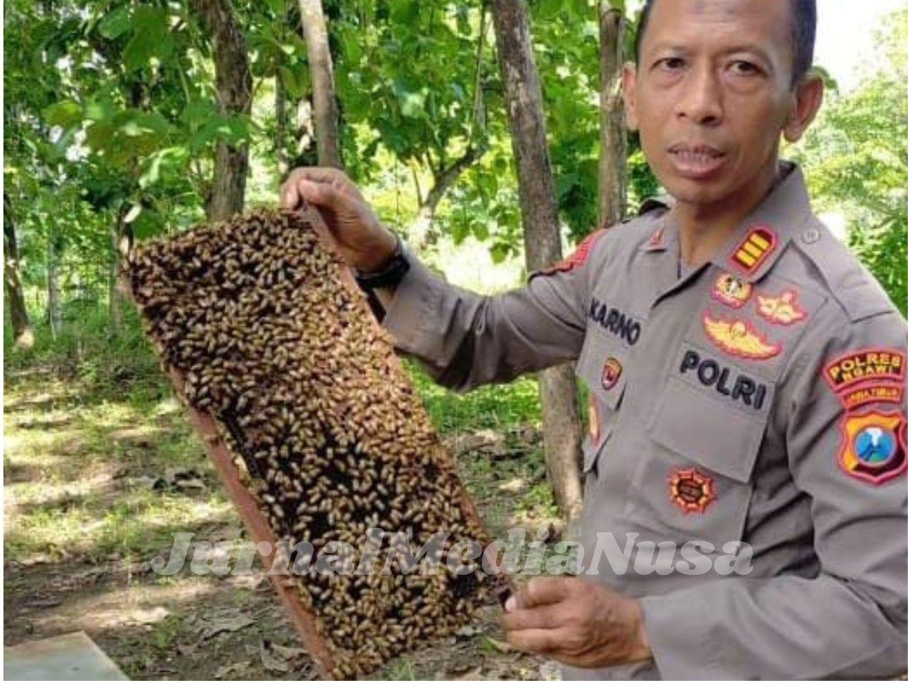 Foto/Gambar Berita